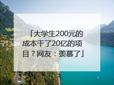 大学生200元的成本干了20亿的项目？网友：羡慕了