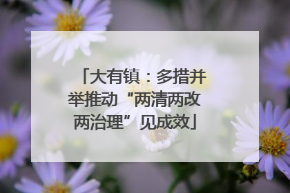 大有镇：多措并举推动“两清两改两治理”见成效