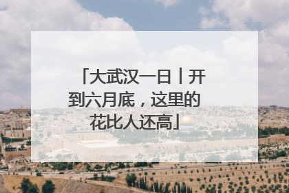 大武汉一日︱开到六月底，这里的花比人还高