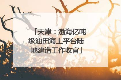 天津：渤海亿吨级油田海上平台陆地建造工作收官