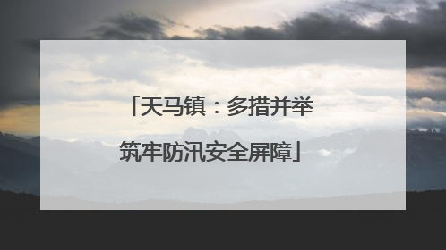 天马镇：多措并举筑牢防汛安全屏障