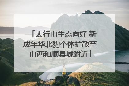 太行山生态向好 新成年华北豹个体扩散至山西和顺县城附近