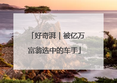 好奇湃｜被亿万富翁选中的车手