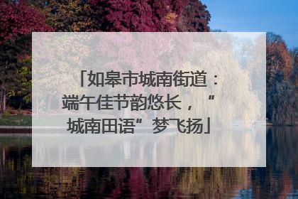 如皋市城南街道：端午佳节韵悠长，“城南田语”梦飞扬