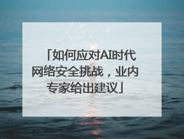 如何应对AI时代网络安全挑战，业内专家给出建议