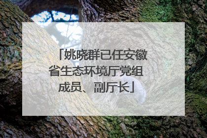 姚晓群已任安徽省生态环境厅党组成员、副厅长