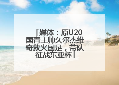 媒体：原U20国青主帅久尔杰维奇救火国足，带队征战东亚杯