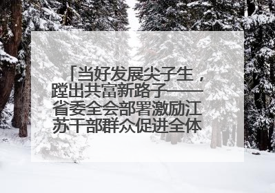 当好发展尖子生，蹚出共富新路子——省委全会部署激励江苏干部群众促进全体人民共同富裕