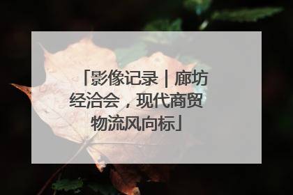 影像记录｜廊坊经洽会，现代商贸物流风向标
