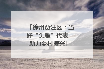 徐州贾汪区：当好“头雁”代表 助力乡村振兴