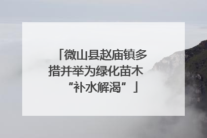 微山县赵庙镇多措并举为绿化苗木“补水解渴”