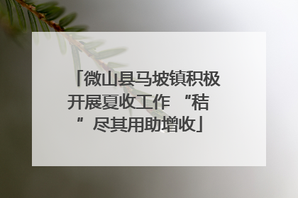 微山县马坡镇积极开展夏收工作 “秸”尽其用助增收