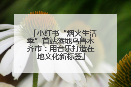 小红书“烟火生活季”首站落地乌鲁木齐市：用音乐打造在地文化新标签