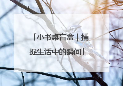 小书桌盲盒｜捕捉生活中的瞬间