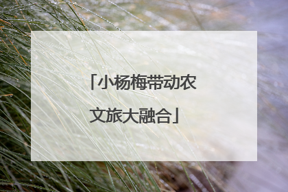 小杨梅带动农文旅大融合