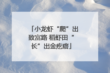 小龙虾“爬”出致富路 稻虾田“长”出金疙瘩