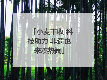 小麦丰收 科技助力 非遗也来凑热闹