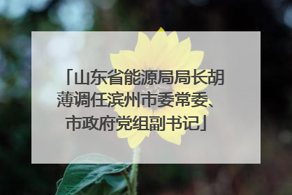 山东省能源局局长胡薄调任滨州市委常委、市政府党组副书记