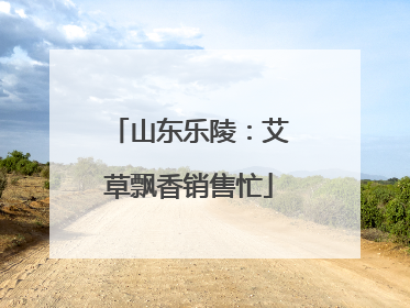 山东乐陵：艾草飘香销售忙