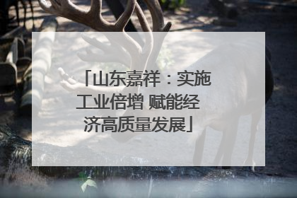 山东嘉祥：实施工业倍增 赋能经济高质量发展