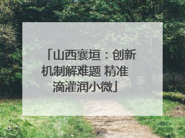 山西襄垣：创新机制解难题 精准滴灌润小微