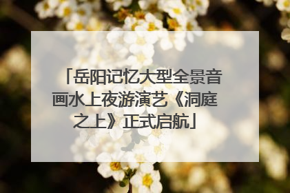 岳阳记忆大型全景音画水上夜游演艺《洞庭之上》正式启航
