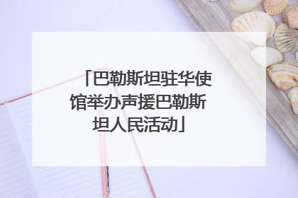 巴勒斯坦驻华使馆举办声援巴勒斯坦人民活动