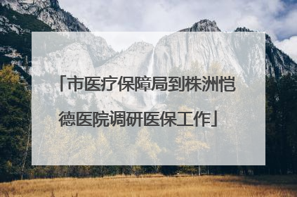 市医疗保障局到株洲恺德医院调研医保工作