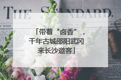 带着“卤香”，千年古城邵阳武冈来长沙邀客