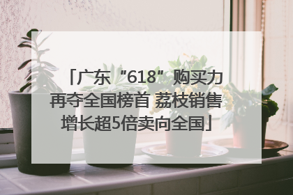 广东“618”购买力再夺全国榜首 荔枝销售增长超5倍卖向全国
