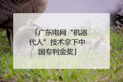 广东电网“机器代人”技术拿下中国专利金奖