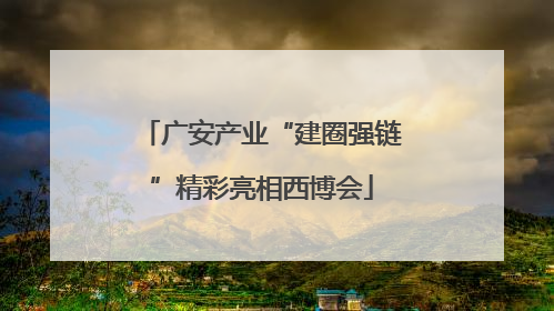 广安产业“建圈强链”精彩亮相西博会