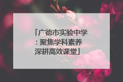广德市实验中学：聚焦学科素养 深耕高效课堂