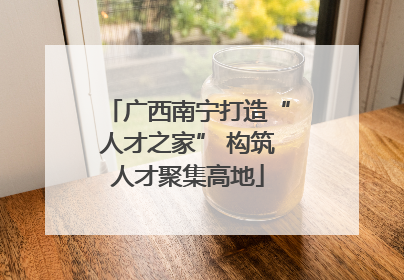 广西南宁打造“人才之家” 构筑人才聚集高地