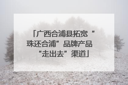 广西合浦县拓宽“珠还合浦”品牌产品“走出去”渠道