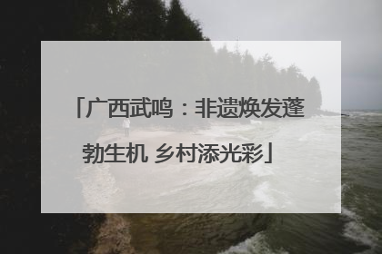 广西武鸣：非遗焕发蓬勃生机 乡村添光彩