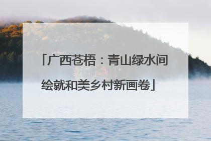广西苍梧：青山绿水间绘就和美乡村新画卷