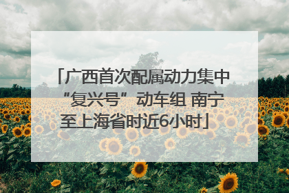 广西首次配属动力集中“复兴号”动车组 南宁至上海省时近6小时