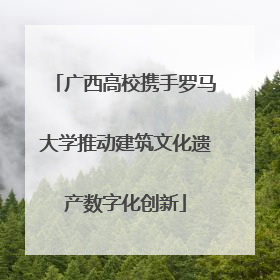 广西高校携手罗马大学推动建筑文化遗产数字化创新
