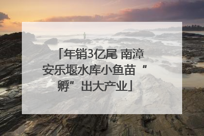 年销3亿尾 南漳安乐堰水库小鱼苗“孵”出大产业