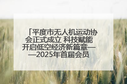 平度市无人机运动协会正式成立 科技赋能开启低空经济新篇章——2025年首届会员大会暨无人机应用发展论坛成功举办