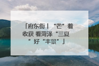 府东街丨“芒”着收获 看菏泽“三夏”好“丰景”