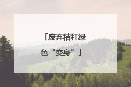 废弃秸秆绿色“变身”