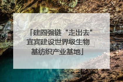 建圈强链“走出去” 宜宾建设世界级生物基纺织产业基地