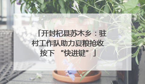 开封杞县苏木乡：驻村工作队助力夏粮抢收按下 “快进键”