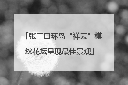 张三口环岛“祥云”模纹花坛呈现最佳景观