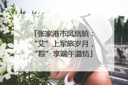 张家港市凤凰镇：“艾”上军旅岁月，“粽”享端午温情