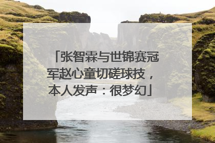 张智霖与世锦赛冠军赵心童切磋球技，本人发声：很梦幻