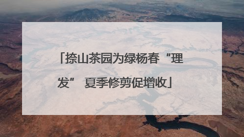 捺山茶园为绿杨春“理发” 夏季修剪促增收