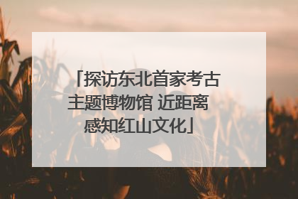 探访东北首家考古主题博物馆 近距离感知红山文化